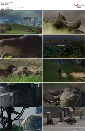 Uptown Otters S01 1080p WEB H264-CBFM