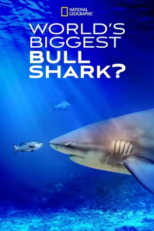 Worlds Biggest Bullshark 2021 1080p DSNP WEB-DL DDP5 1 H 264-FLUX