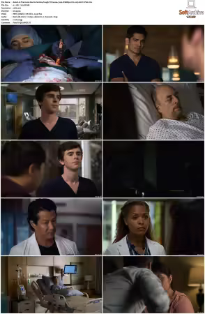 The Good Doctor S01 S07 720p WEBRip 2CH x265 HEVC-PSA