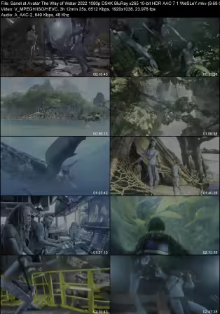 Avatar The Way of Water 2022 1080p DS4K BluRay x265 10-bit HDR AAC 7.1 WeSLeY