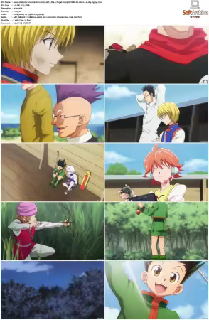 Hunter x Hunter 2011 S01-S06 1080p NF WEB-DL AAC2.0 H264-ZigZag