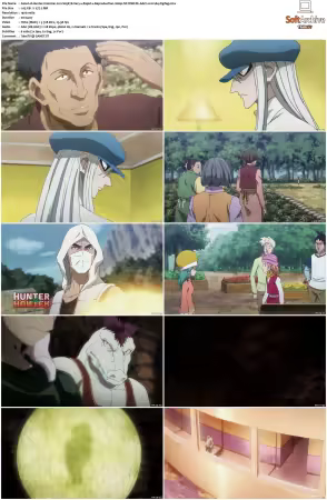 Hunter x Hunter 2011 S01-S06 1080p NF WEB-DL AAC2.0 H264-ZigZag