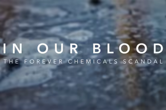 ITV Exposure - In Our Blood: The Forever Chemicals Scandal (2026) 1080p HDTV x265 AAC MVGroup