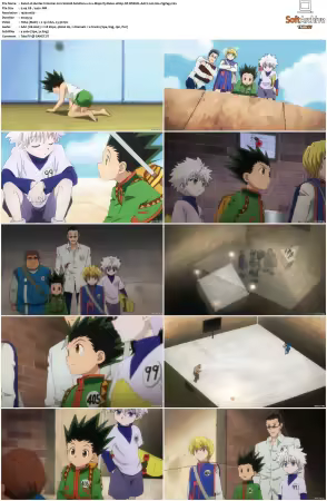Hunter x Hunter 2011 S01-S06 1080p NF WEB-DL AAC2.0 H264-ZigZag