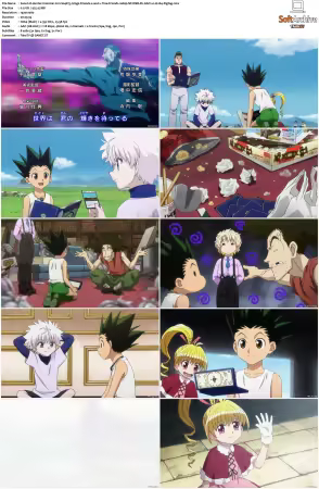 Hunter x Hunter 2011 S01-S06 1080p NF WEB-DL AAC2.0 H264-ZigZag