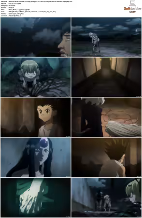 Hunter x Hunter 2011 S01-S06 1080p NF WEB-DL AAC2.0 H264-ZigZag