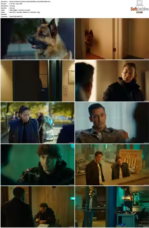 Hudson And Rex S07 DVDRip x264-TABULARiA