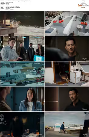 Hudson and Rex S08 720p HEVC x265-MeGusta