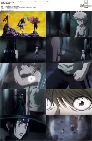 Hunter x Hunter 2011 S01-S06 1080p NF WEB-DL AAC2.0 H264-ZigZag