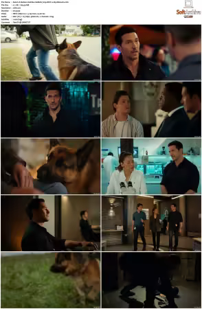Hudson and Rex S08 720p HEVC x265-MeGusta