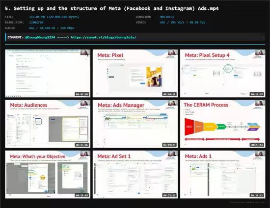 Module 11: Paid Ads - Social, Search/PPC, Display