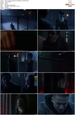 12 Monkeys S01 S04 720p WEB-DL 2CH x265 HEVC-PSA