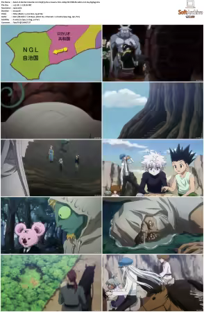 Hunter x Hunter 2011 S01-S06 1080p NF WEB-DL AAC2.0 H264-ZigZag