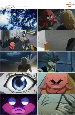 Hunter x Hunter 2011 S01-S06 1080p NF WEB-DL AAC2.0 H264-ZigZag