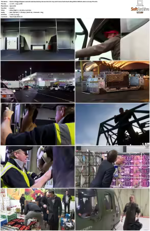 Mega Shippers Land Air and Sea S01 S03 1080p ROKU WEB-DL AAC2.0 H264-FFG