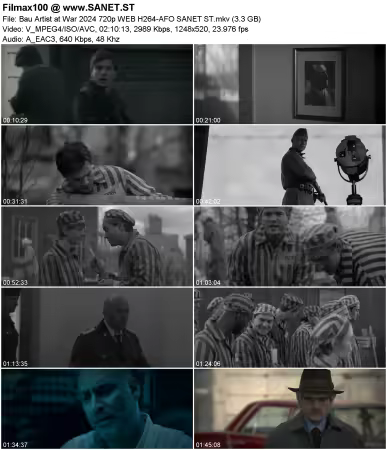 Bau Artist at War 2024 720p WEB H264-AFO