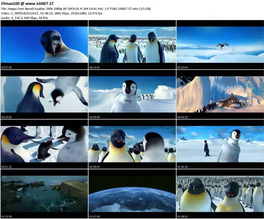 Happy Feet-Neseli Ayaklar 2006 1080p NF WEB-DL H 264 DUAL AAC 2.0-TSRG