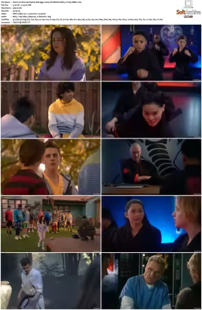 Cobra Kai S05 2160p NF WEB-DL DDP5.1 H265-XEBEC