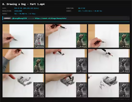 How to Draw Animals for Beginners: Simple Shapes and Shading