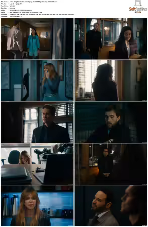 High Potential S02 RERIP 720p 10bit WEBRip 2CH x265 HEVC-PSA