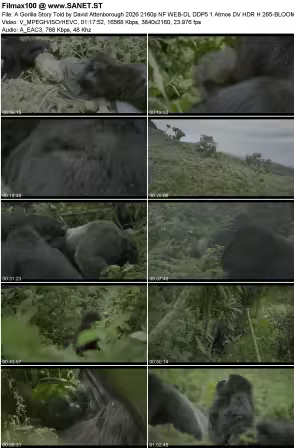A Gorilla Story Told by David Attenborough 2026 2160p NF WEB-DL DDP5.1 Atmos DV HDR H265-BLOOM
