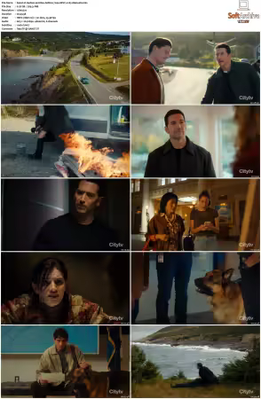 Hudson and Rex S08 720p HEVC x265-MeGusta