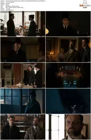 Vienna Blood S01 S04 1080p AMZN WEB-DL DDP 5.1 H264-CHDWEB