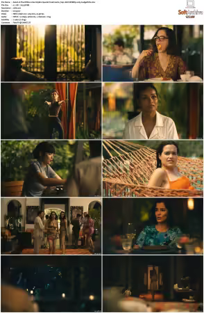 The White Lotus S01 S03 720p 10bit WEBRip x265-budgetbits