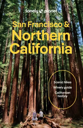 Lonely Planet San Francisco &amp; Northern California, 4th Edition