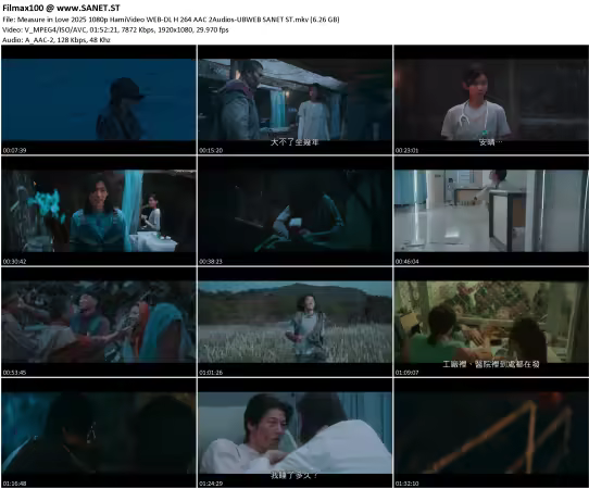 Measure in Love 2025 1080p HamiVideo WEB-DL H 264 AAC 2Audios-UBWEB