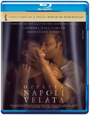Naples in Veils 2017 BDRip x264-BiPOLAR