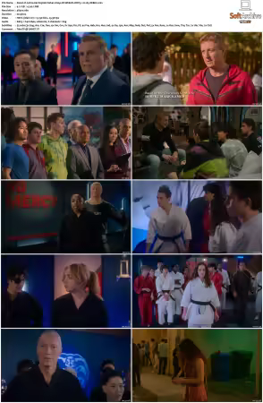 Cobra Kai S05 2160p NF WEB-DL DDP5.1 H265-XEBEC