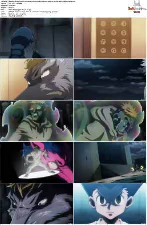 Hunter x Hunter 2011 S01-S06 1080p NF WEB-DL AAC2.0 H264-ZigZag