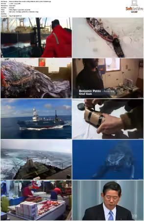 Whale Wars S02 1080p WEB-DL AAC2.0 AVC-TrollHD
