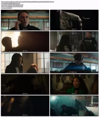 Daredevil Born Again S02E04 1080p 10bit WEBRip 6CH x265 HEVC-PSA