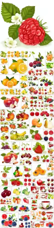 Fruits, berries, citrus bundle vol 1