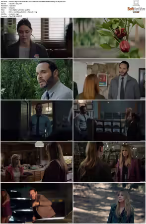 High Potential S01 S02 1080p DSNP WEB-DL DDP5.1 H264-NTb