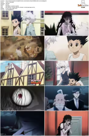Hunter x Hunter 2011 S01-S06 1080p NF WEB-DL AAC2.0 H264-ZigZag
