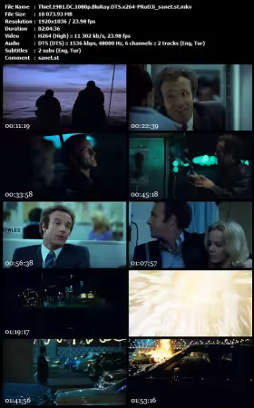 Thief 1981 DC 1080p BluRay DTS x264-PRoDJi
