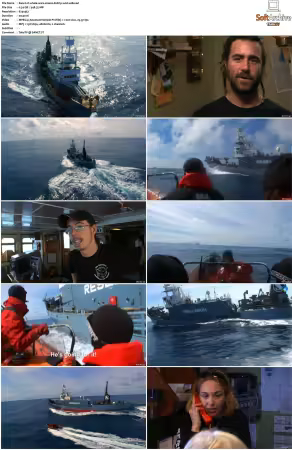 Whale Wars S01 S02 DVDRip XviD-WiDE