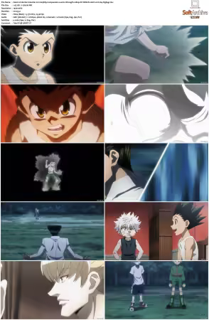 Hunter x Hunter 2011 S01-S06 1080p NF WEB-DL AAC2.0 H264-ZigZag