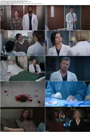 Greys Anatomy S22E16 720p WEB H264-JFF