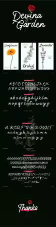Devina Garden - Modern Script Font