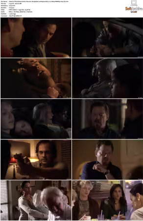 The Riches 2007 S01 S02 WEBRip EAC3 5.1 1080p x265-iVy