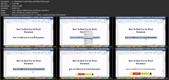 Word Mac: Beginner To Advance Microsoft Word Mac Tutorials