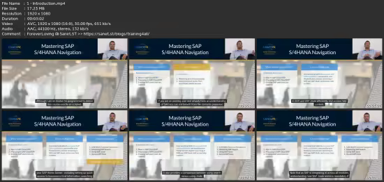 Mastering Sap S/4Hana Navigation
