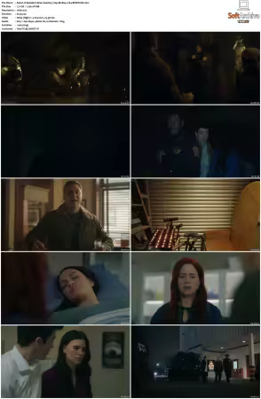 Resident Alien S04 720p BluRay x264-BORDURE