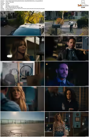 High Potential S01 S02 1080p DSNP WEB-DL DDP5.1 H264-NTb