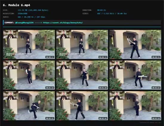 Wing Chun Butterfly Knives Master Certification Course