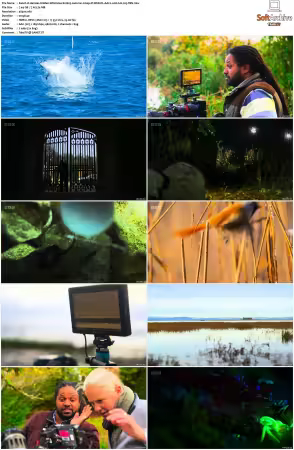 Hamzas Hidden Wild Isles S01 2160p iP WEB-DL AAC2.0 HLG H265-TBN